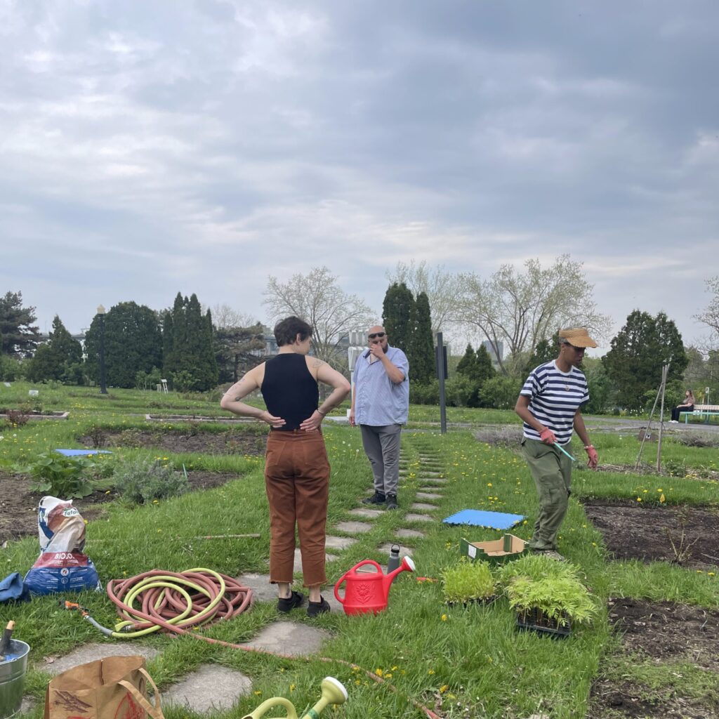 Our free Gardening group welcomes participants of all ages and skills. It takes place every two weeks on Wednesday from 11 to 12PM. The group meets at 425 Sherbrooke O. In case of bad weather, there will be an indoor garden-themed activity. We provide all supplies.
