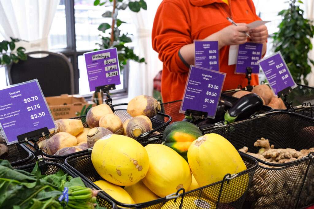 Baskets full of fresh vegetables like spaghetti squash, turnip, ginger, greens and eggplant. All prices listed are under $1.00.